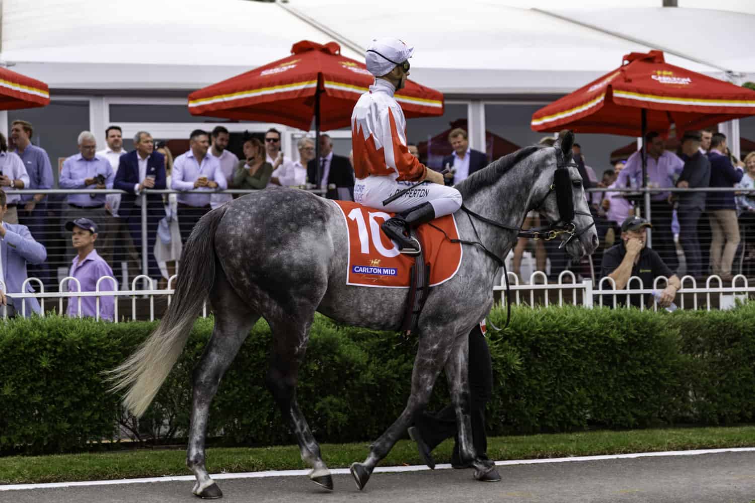 Clubs NSW Race Day