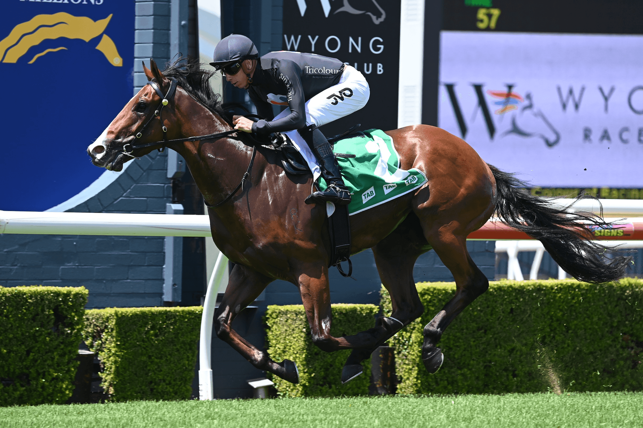 Wyong Race Day