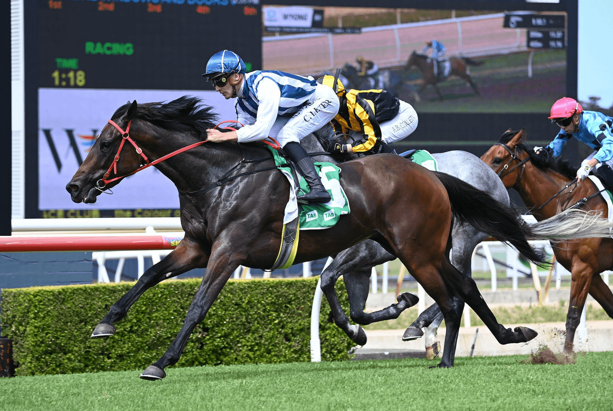 Wyong Race Day