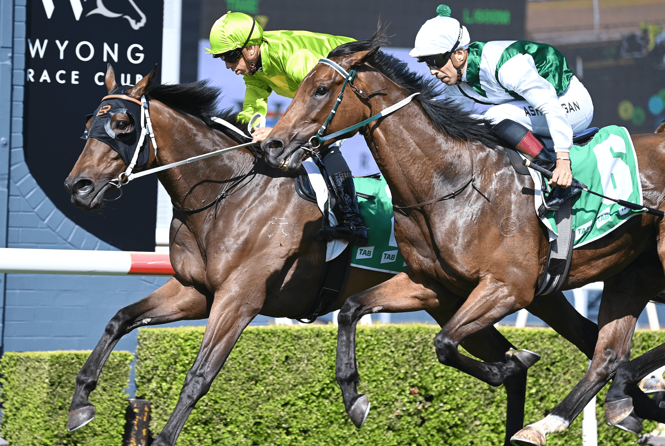 Christmas At The Races