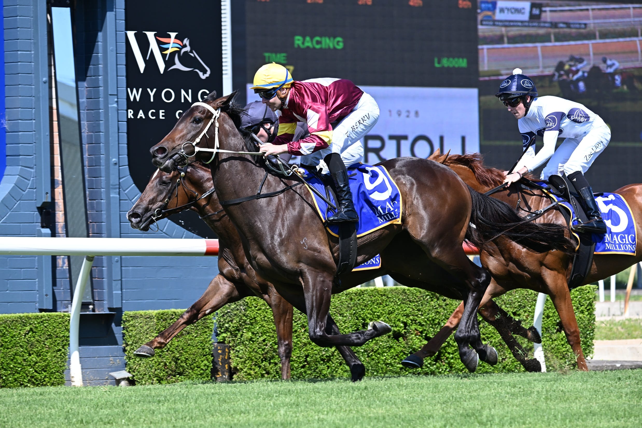 Wyong Race Day