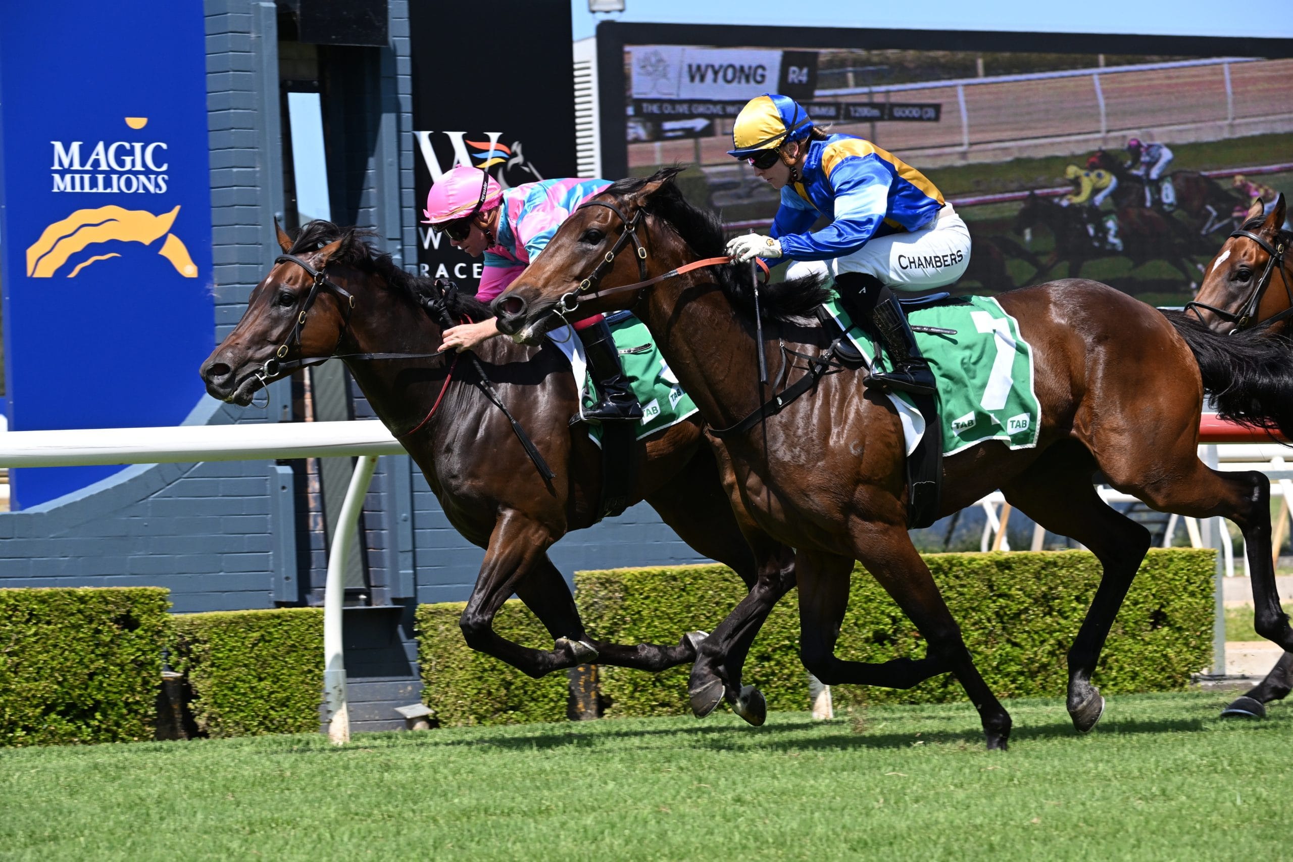 Christmas At The Races