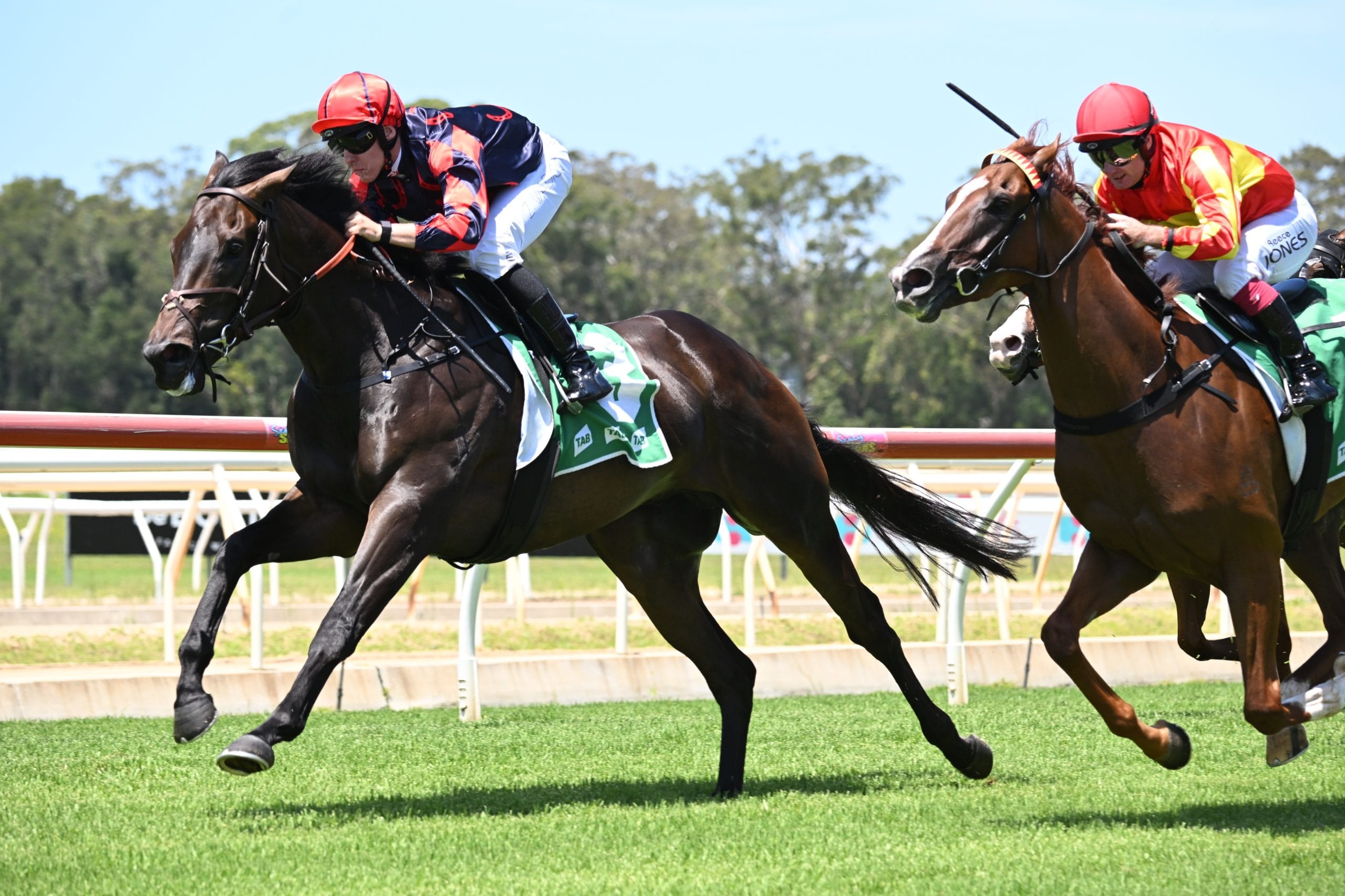 Wyong Race Day