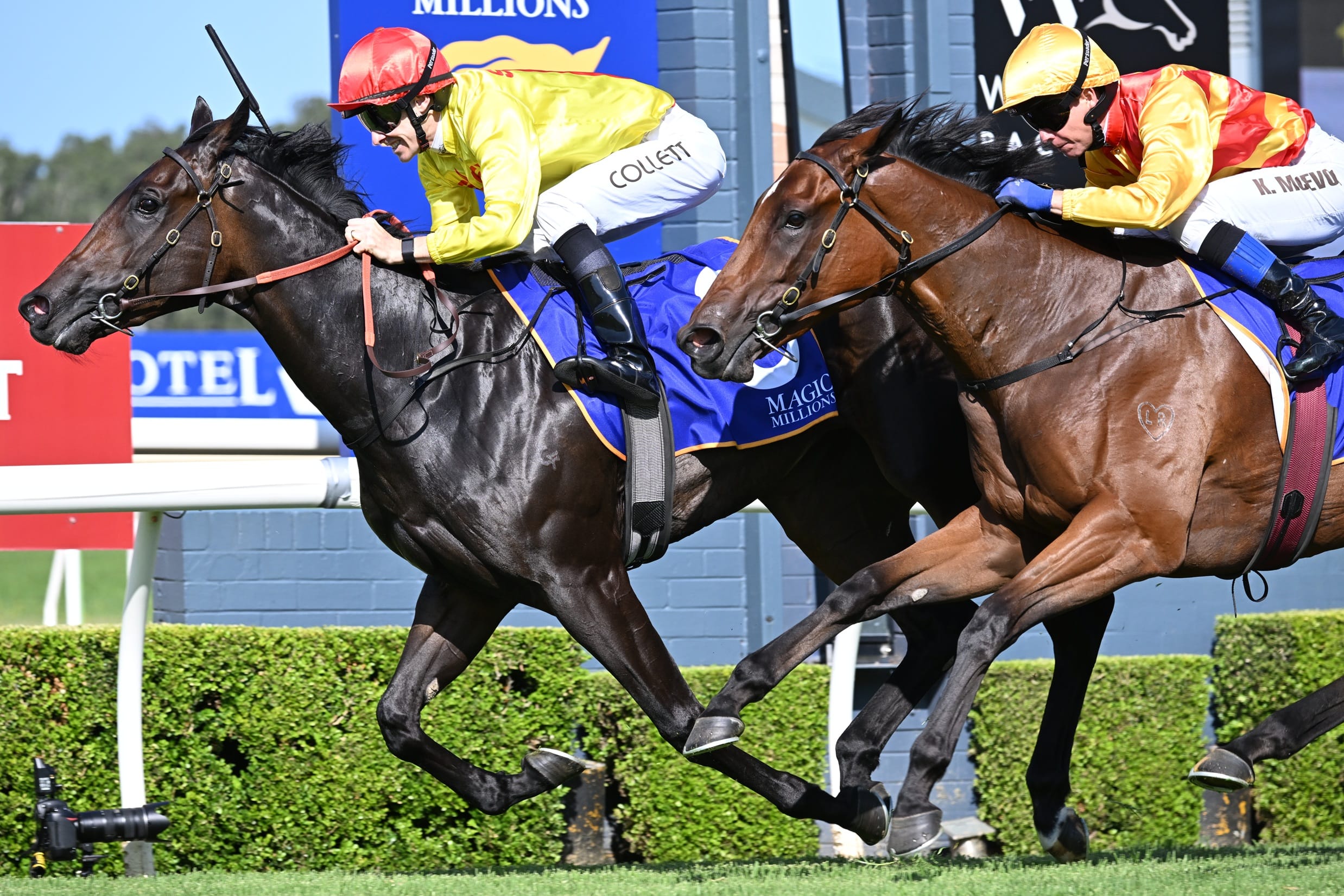 Christmas At The Races