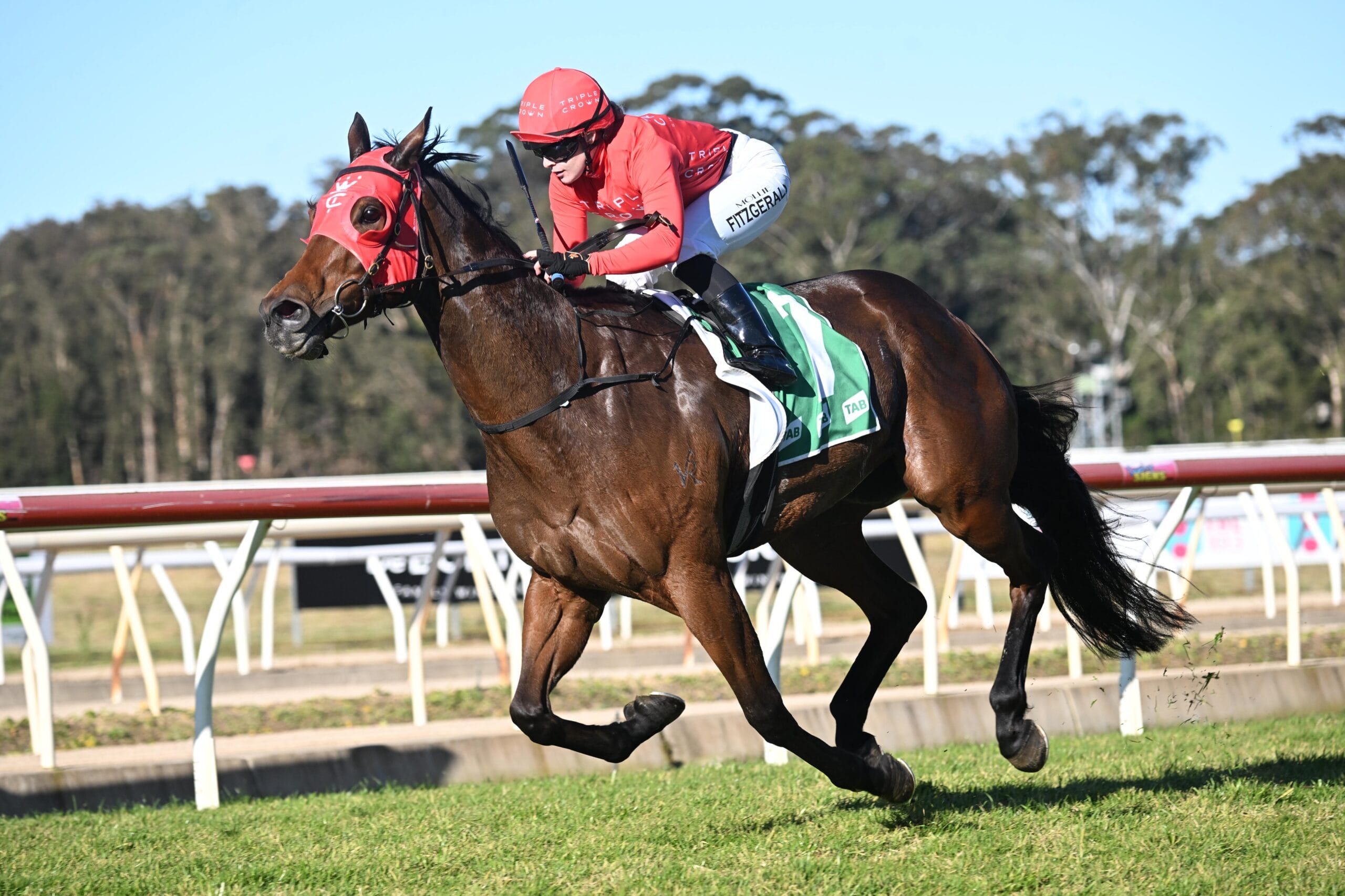 Wyong Race Day