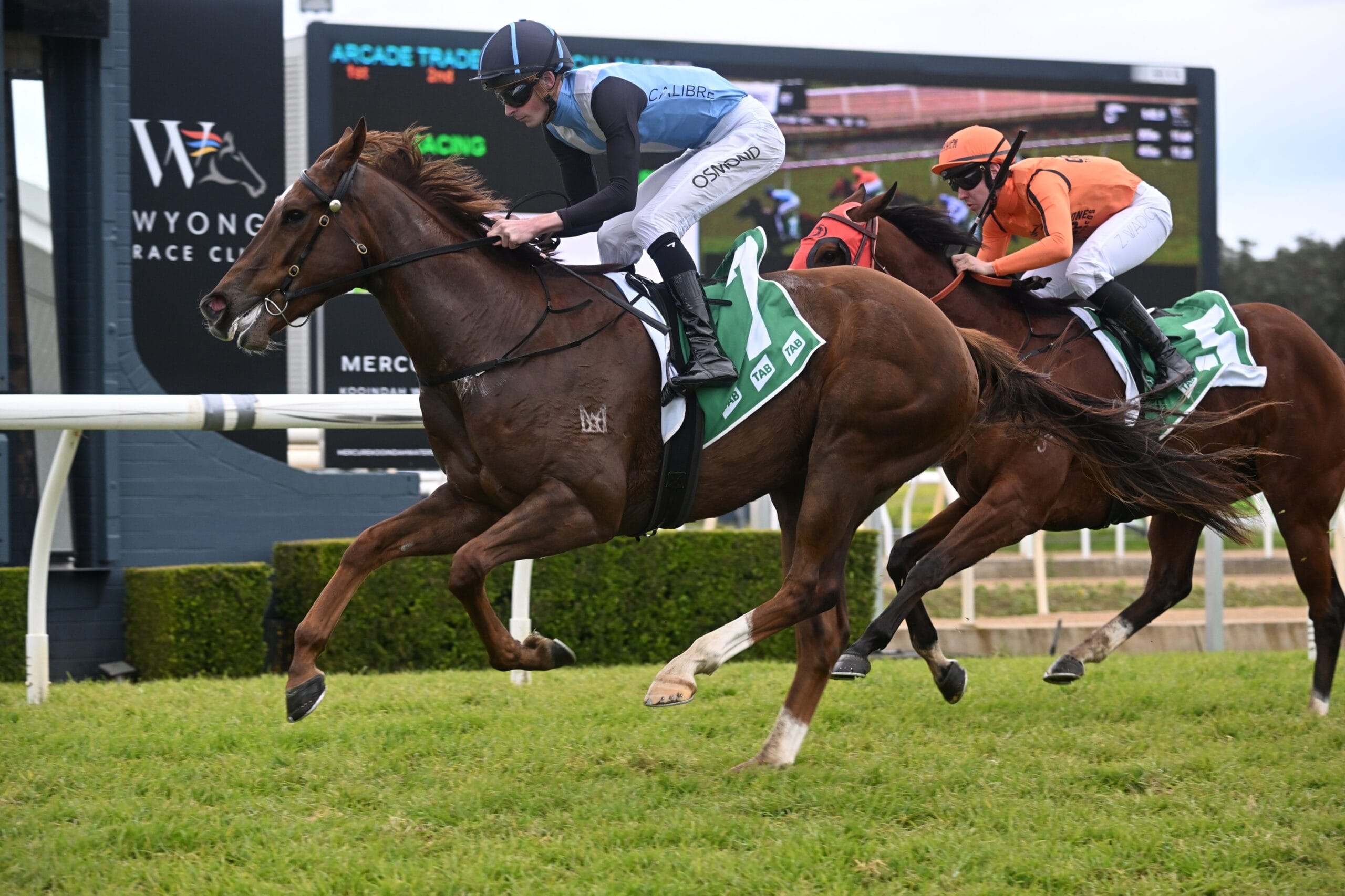 Wyong Race Day