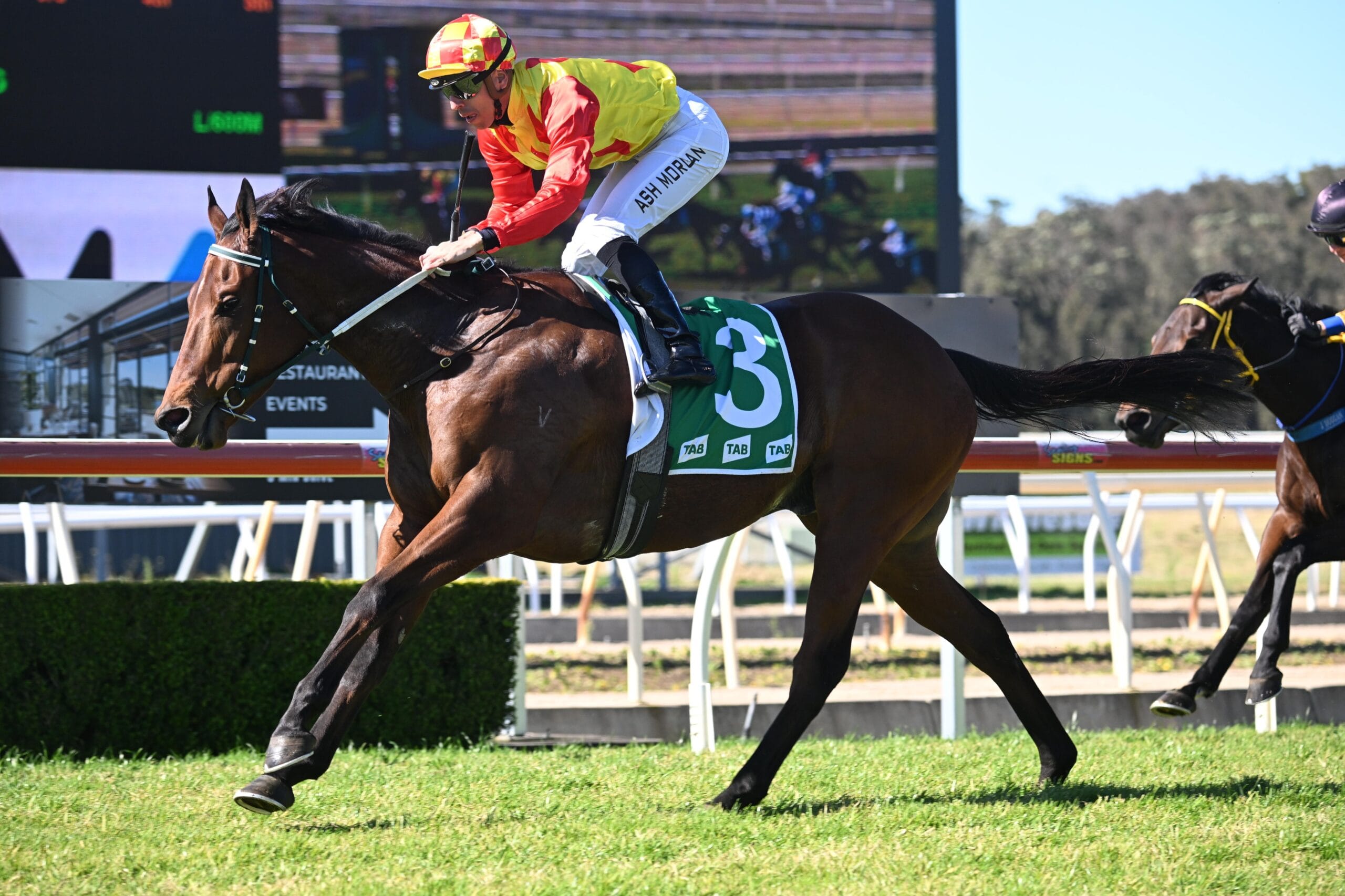 Wyong Race Day