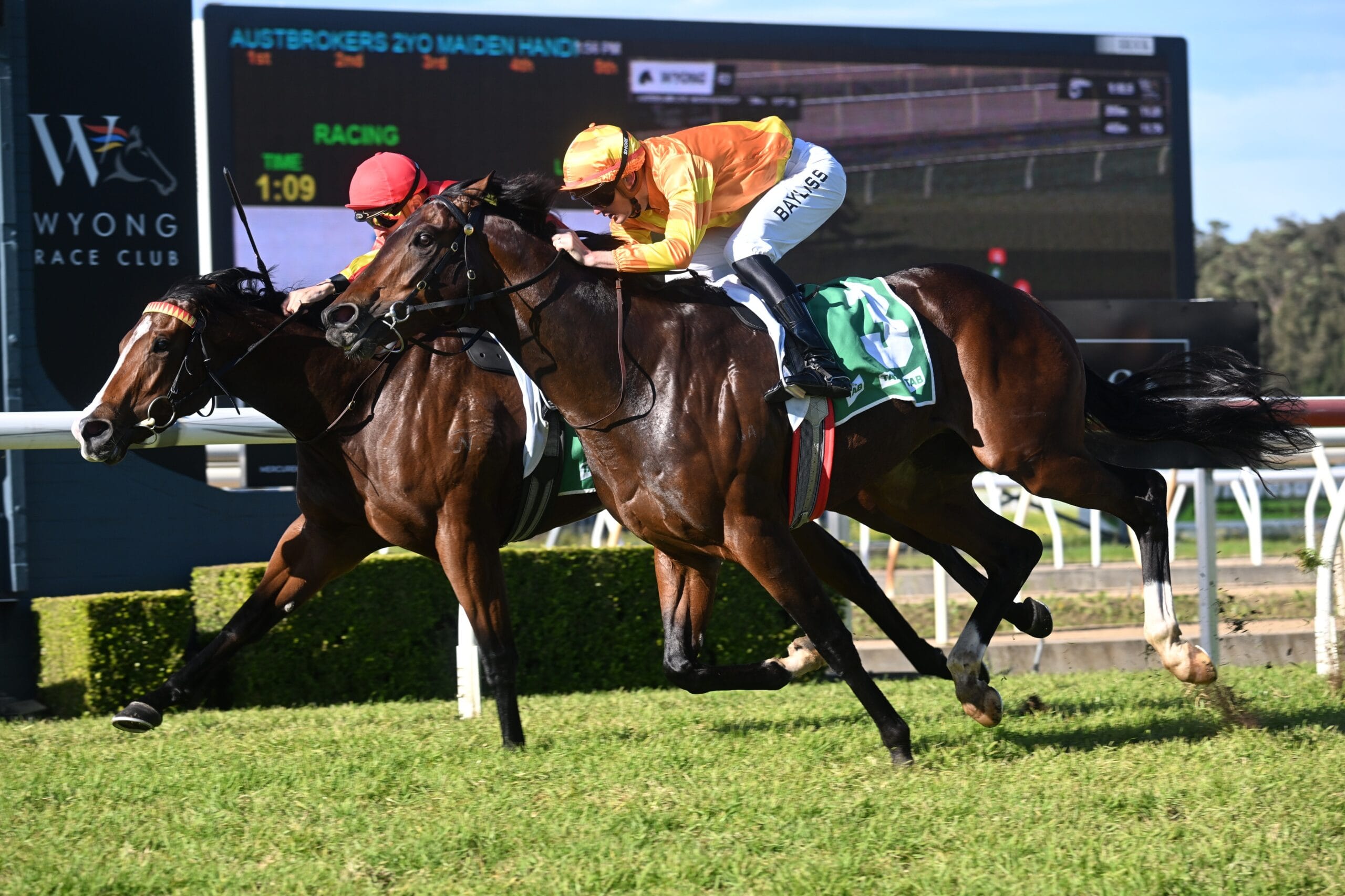 Wyong Race Day
