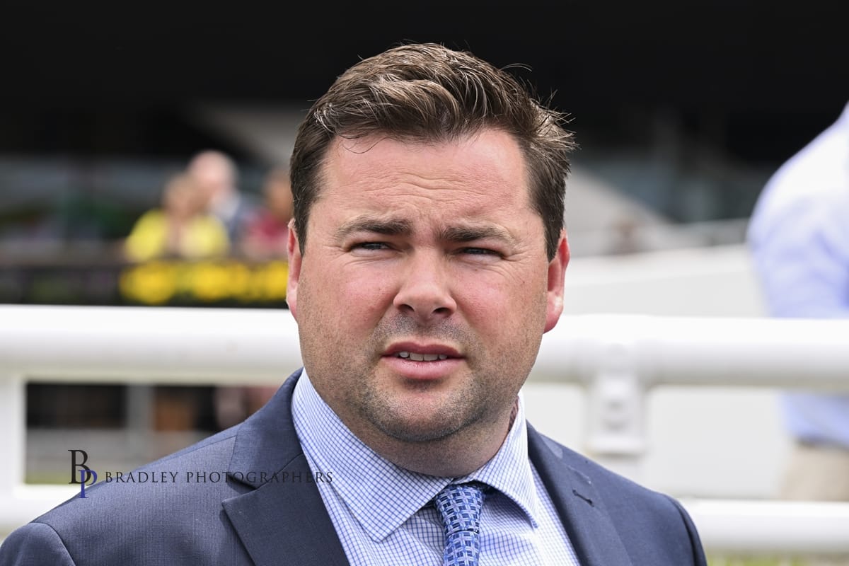 LITT’S SON OF CHAMPION SET FOR WYONG DEBUT 1