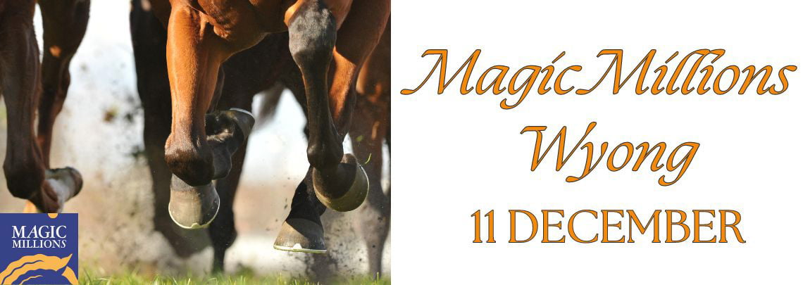 Magic Millions Wyong Wednesday 11 December 2