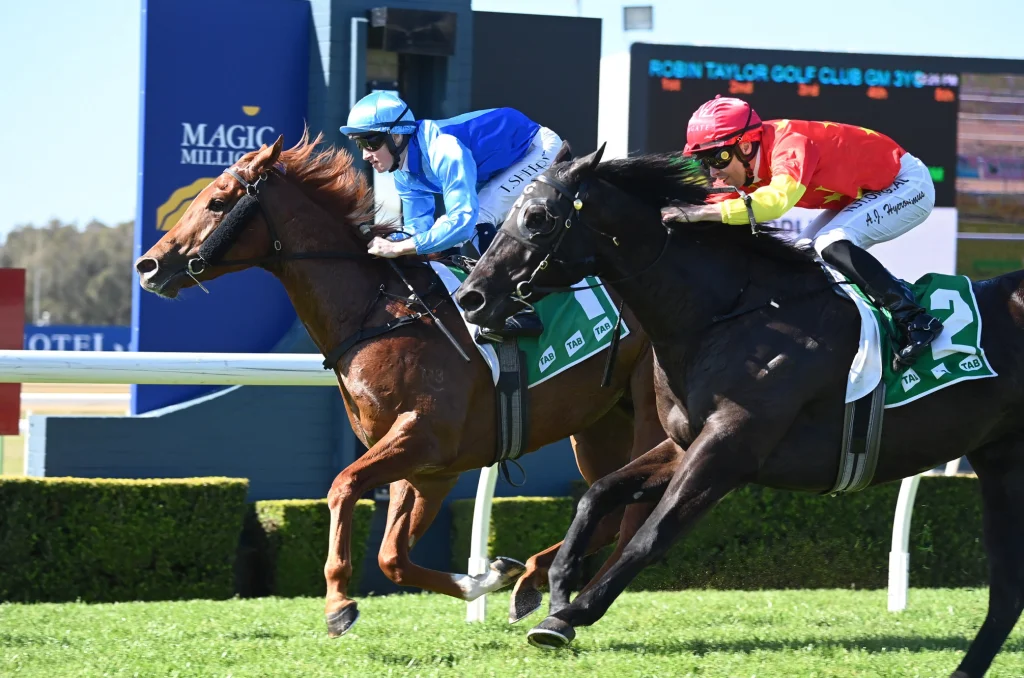 FAVOURITES RULE THE DAY AT WYONG 41