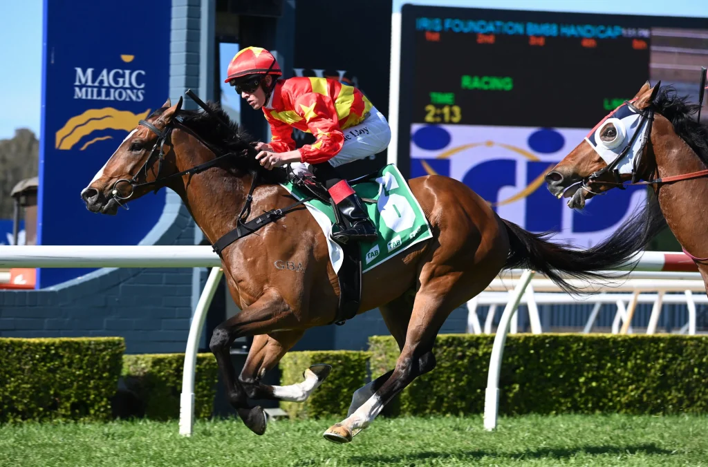 WYONG TRAINERS OFF TO A GREAT START FOR CUP CARNIVAL 35