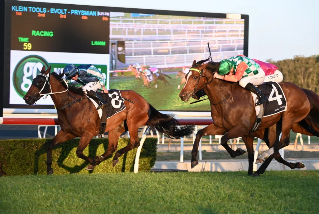 ZOUSTAR COLT IMPRESSES ON DEBUT 21