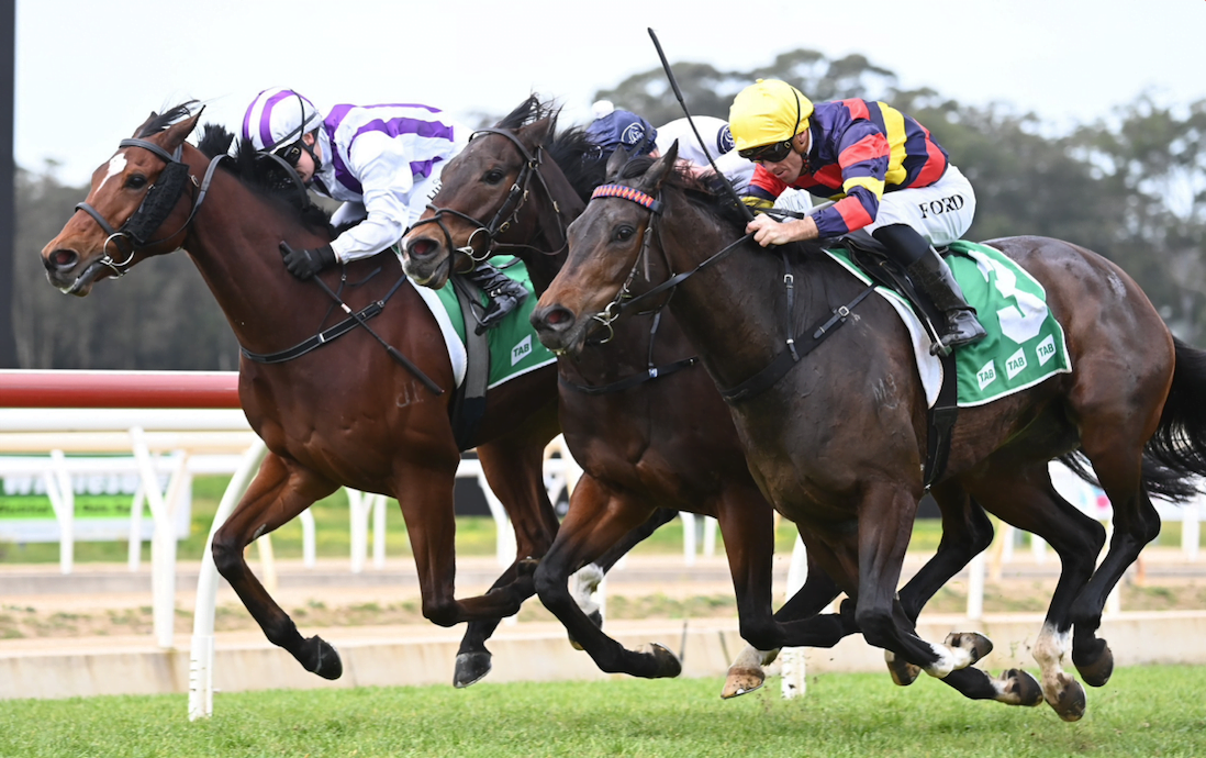 Christmas At The Races Family Fun Day 2