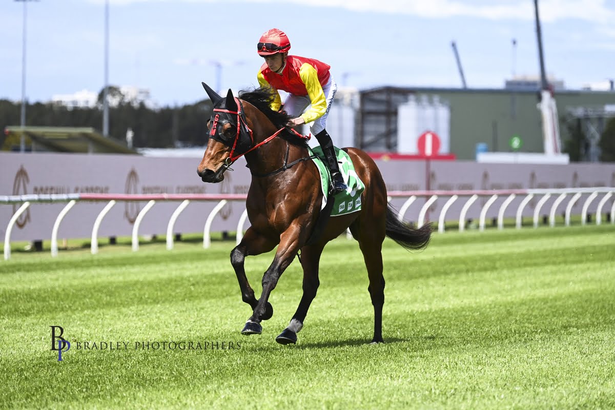 ShihAB's WYONG BREAKTHROUGH on hold 6